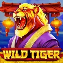 Jogo em destaque na 77Z